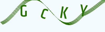 验证码