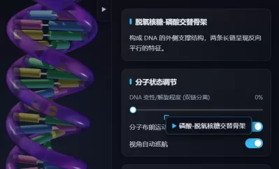 NA双螺旋空间结构