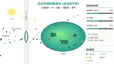 光合作用微观演示动画