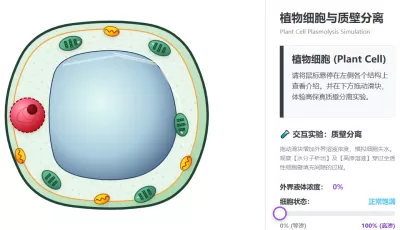 植物细胞结构