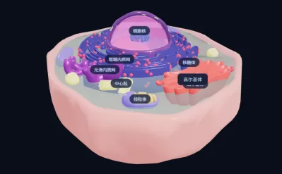 细胞膜跨膜运输3D互动教学