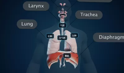 呼吸系统与肺泡气体交换