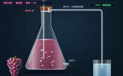 发酵工程