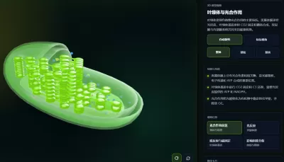 叶绿体与光合作用3D模型