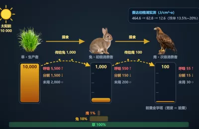 能量流动与物质循环