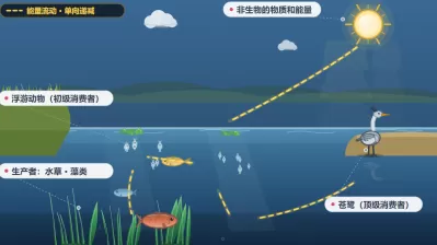 生态系统结构与生态位