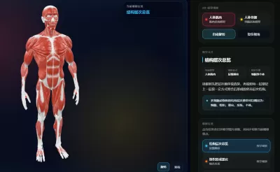 人体肌肉骨骼3D模型