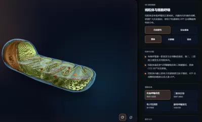 线粒体与细胞呼吸