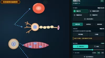 细胞生命历程