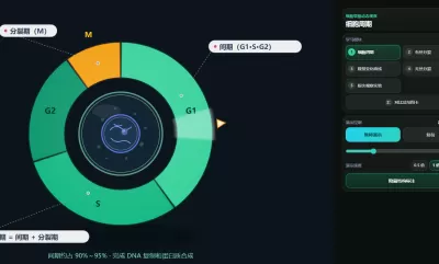 细胞增殖