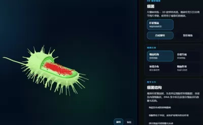 细菌3D模型