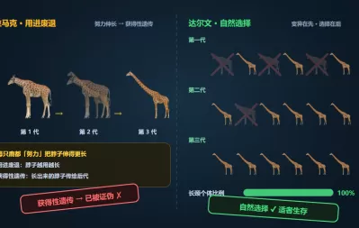 现代生物进化理论
