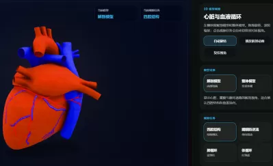 心脏与血液循环3D模型