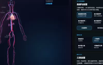 血液与血管3D模型
