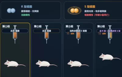 遗传物质证据实验
