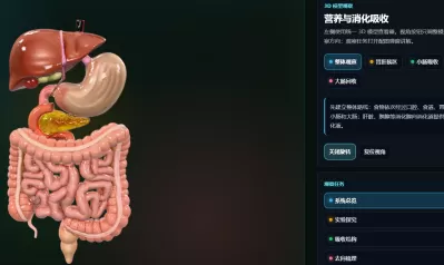营养与消化吸收3D模型