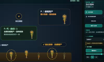 杂交育种