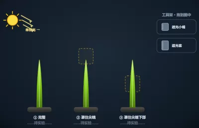 植物生命活动调节