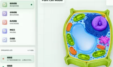 动植物细胞神经元白细胞3D模型