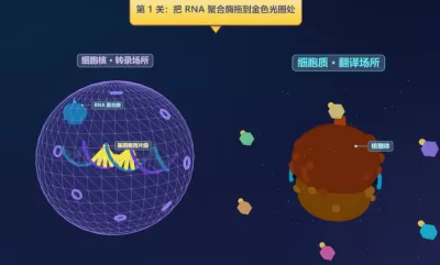 遗传与变异3D探索实训