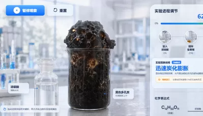 浓硫酸的脱水性-蔗糖炭化实验